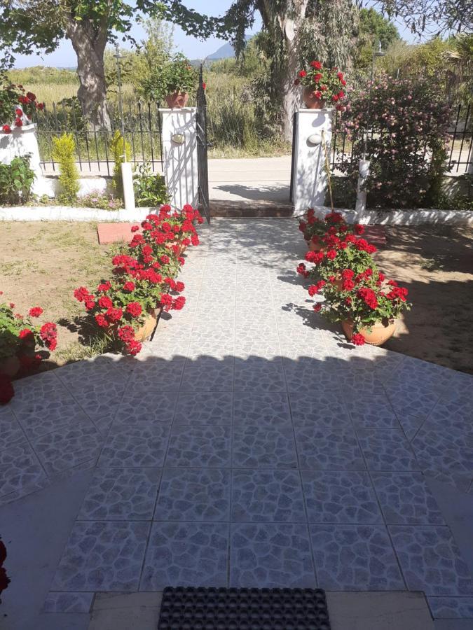 Issos Apartments 아기오스 게오르기오스 외부 사진
